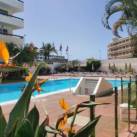 Apartment Camelias C13 *